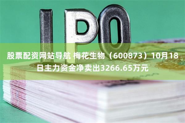 股票配资网站导航 梅花生物（600873）10月18日主力资金净卖出3266.65万元