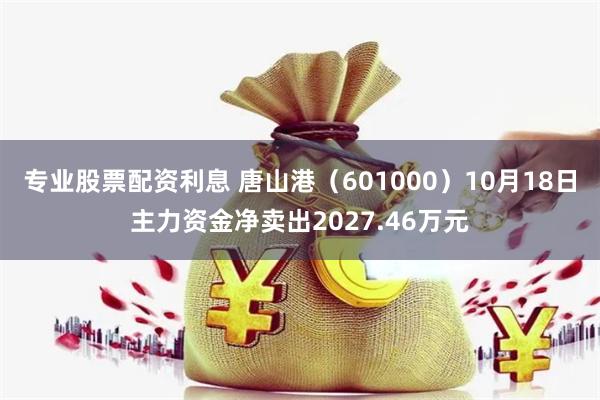 专业股票配资利息 唐山港（601000）10月18日主力资金净卖出2027.46万元